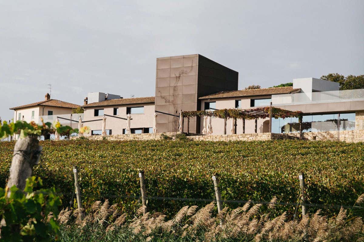 Tabarrini: vini umbri dalla personalità vulcanica Tabarrini: vini umbri dalla personalità vulcanica