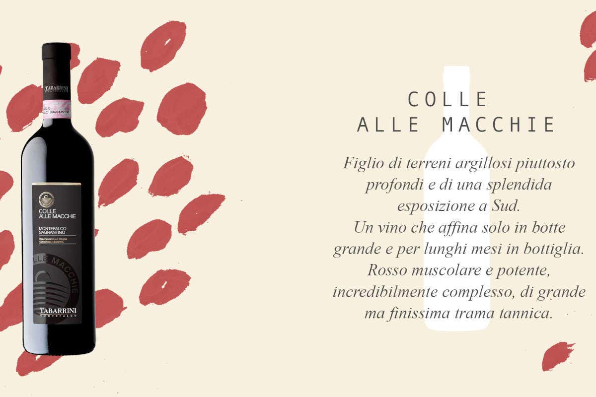 Tabarrini: vini umbri dalla personalità vulcanica Tabarrini: vini umbri dalla personalità vulcanica