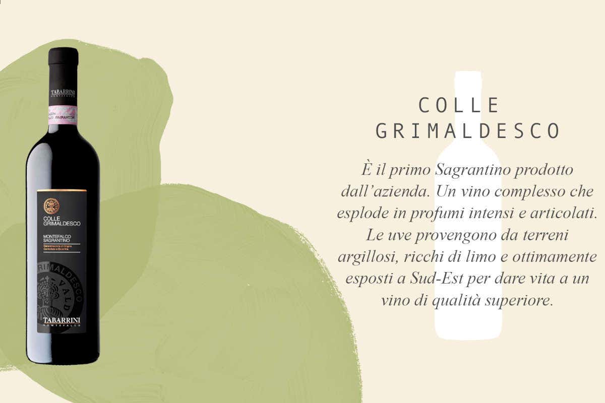 Tabarrini: vini umbri dalla personalità vulcanica Tabarrini: vini umbri dalla personalità vulcanica