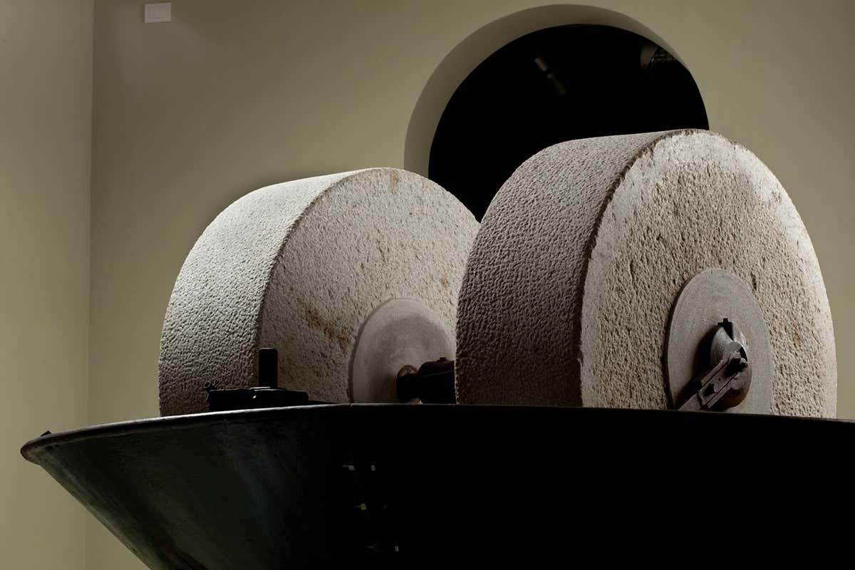 Antichi strumenti di frantoio e macchinari per l’estrazione dell’olio illustrano l’evoluzione delle tecniche olearie nel Museo Agorà Orsi Coppini