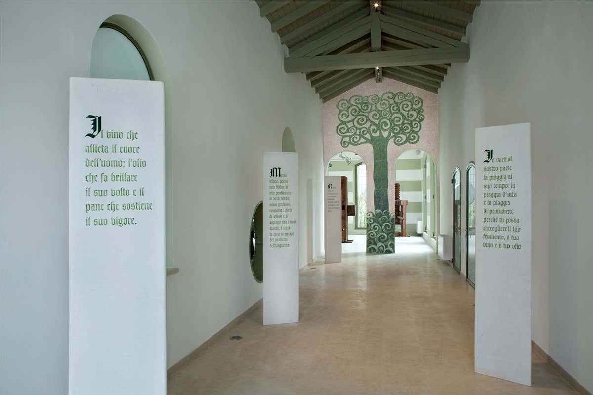 Il Museo Agorà Orsi Coppini racconta la storia dell’olio extravergine e della cultura dell’olivo nel Mediterraneo.