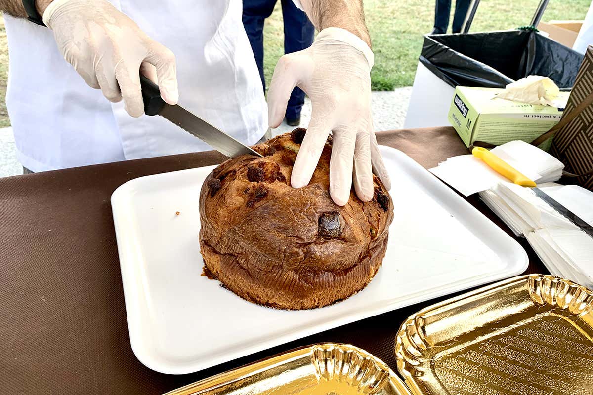 Degustati 450 lievitati artigianali Parma celebra la Notte dei Maestri del Lievito Madre