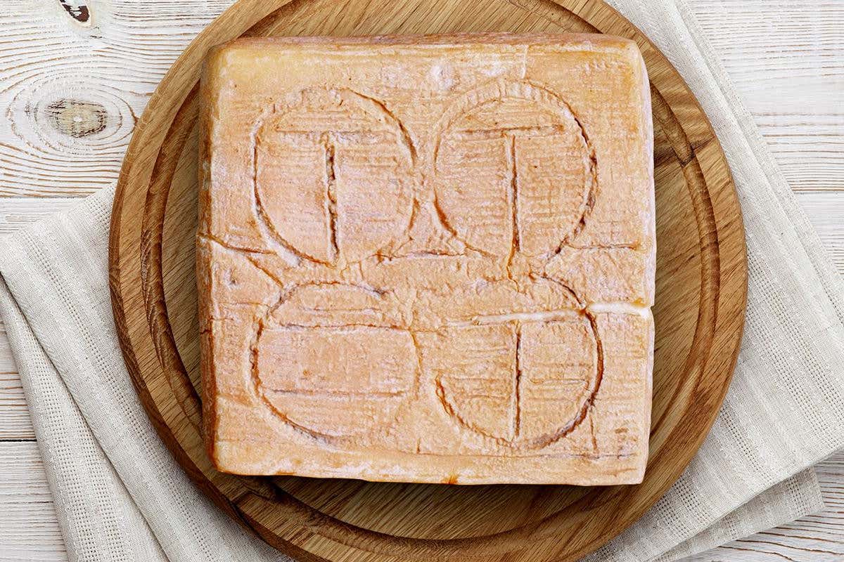 Una forma di Taleggio&nbsp; Taleggio, aumenta la produzione e l'export torna a crescere ( 2,6%)