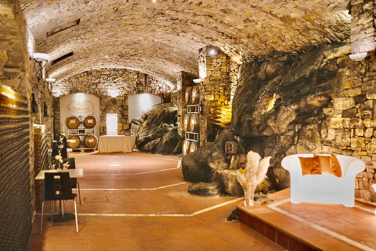 Da una piccola vigna ai grandi vini: Tallarini, una storia di successo