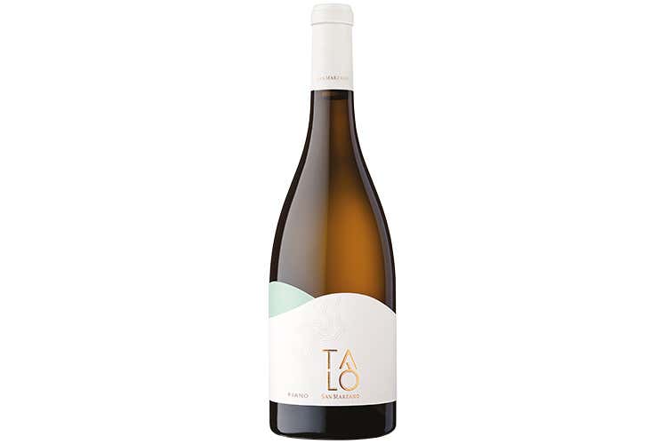 (Talò di Cantine San Marzano Look rinnovato all’insegna del movimento) (Talò di Cantine San Marzano Look rinnovato all’insegna del movimento)