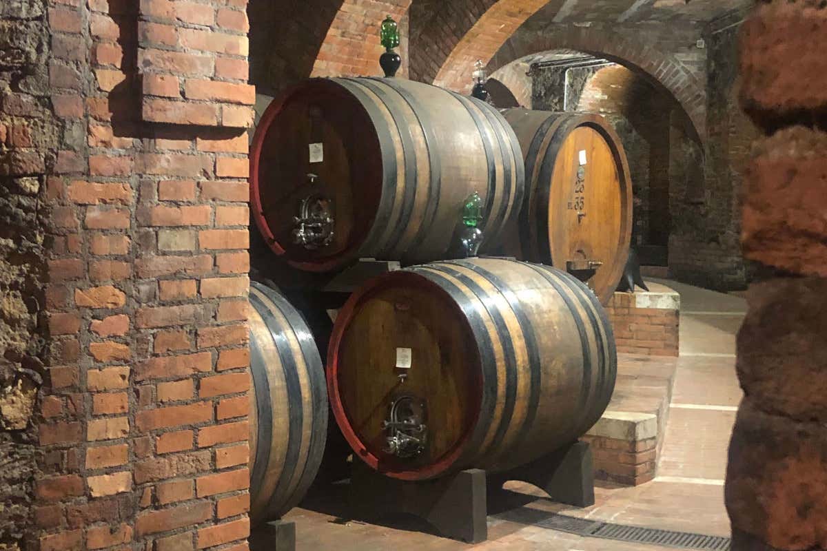 I cunicoli di cantina Talosa I nobili vini di Talosa celebrano 500 anni nel segno della tradizione e della modernità
