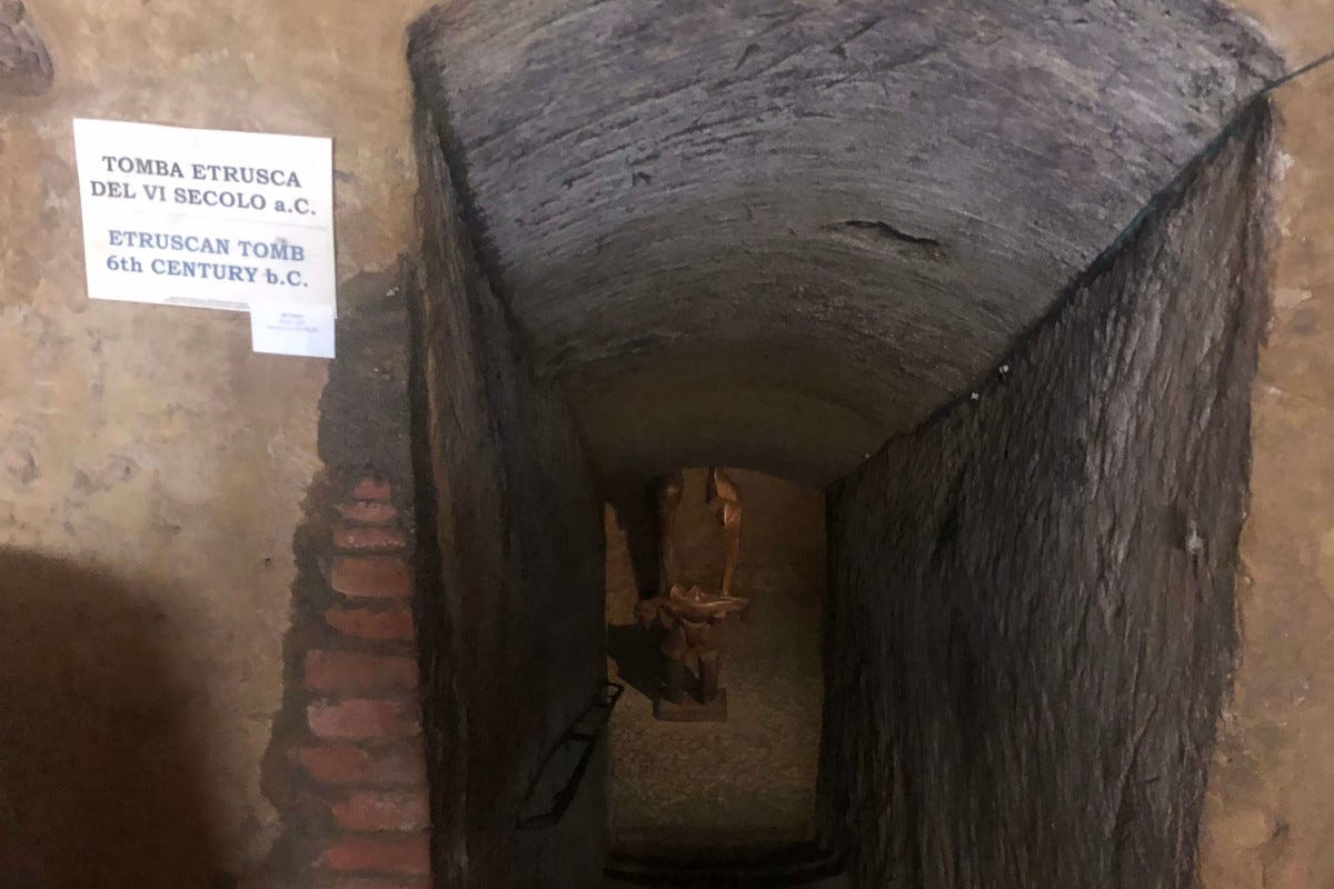 L'ingresso alla tomba etrusca I nobili vini di Talosa celebrano 500 anni nel segno della tradizione e della modernità