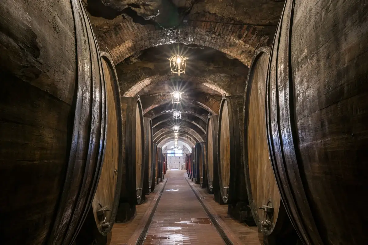 Botti della cantina storica Talosa I nobili vini di Talosa celebrano 50 anni nel segno della tradizione e della modernit&agrave;