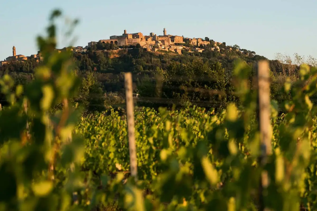 Vigneti con vista Il Nobile Montepulciano Filai Lunghi di Talosa incontra la cucina di Eggs