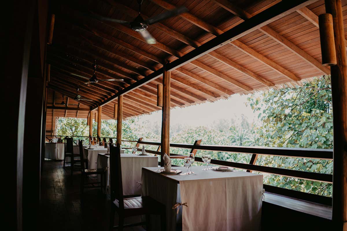 Mangiare nella giungla: l’esperienza speciale del Tamarind Springs
