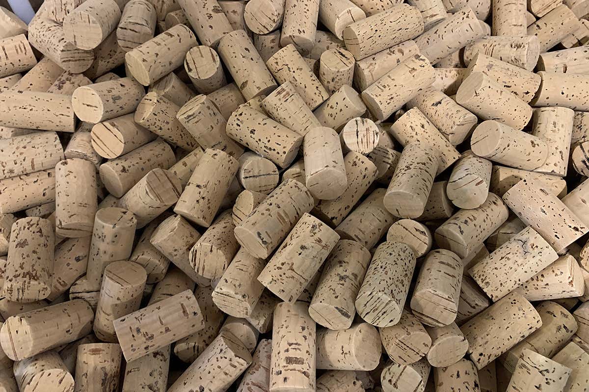 Amorim Cork Italia nel 2021 ha venduto oltre 665 milioni di tappi di sughero Le pratiche virtuose di Perlage Winery e Amorim Cork Italia