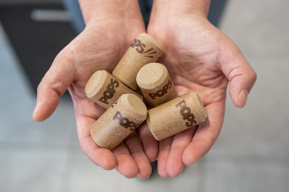 Vinventions e la vendemmia 2025: difendere la qualità del vino italiano Il vino italiano alla prova della qualità: nella vendemmia 2025 c’è anche Vinventions