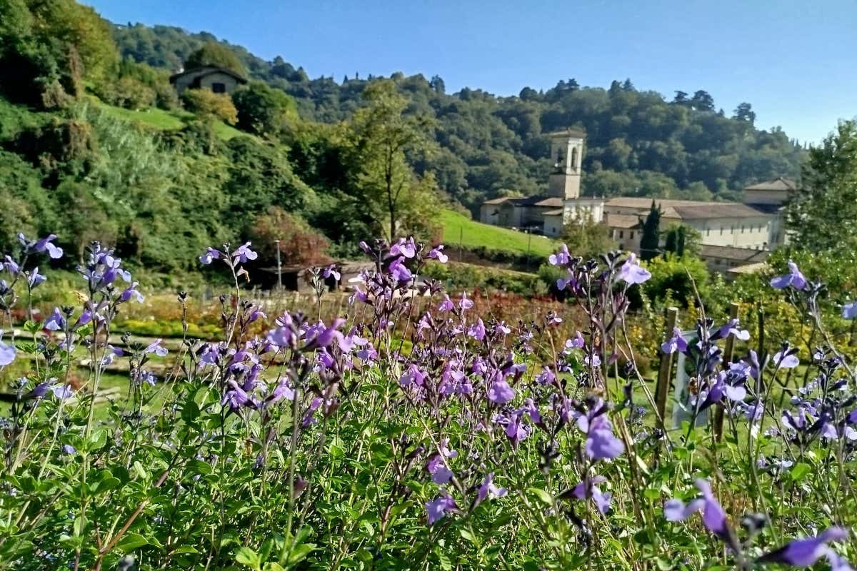 Nasce ad Astino la prima tartufaia comunale nella Valle della Biodiversità