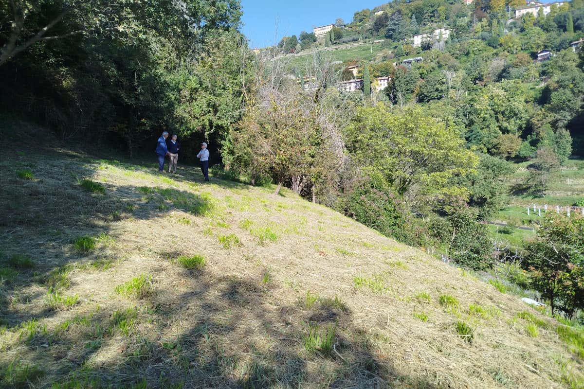 Nasce ad Astino la prima tartufaia comunale nella Valle della Biodiversità