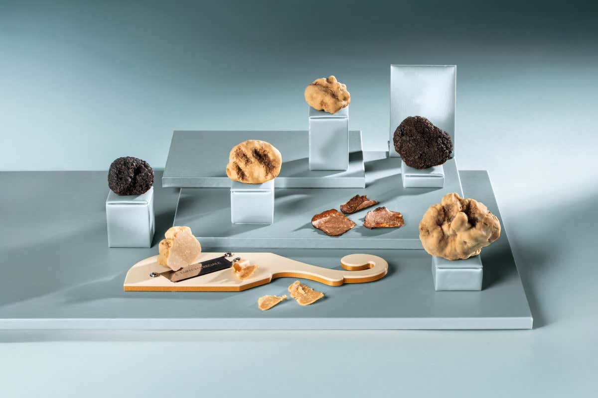 Ad Alba nasce un dessert che sembra un tartufo appena cavato dal bosco