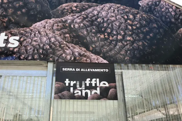 Col Truffleland l'agricoltur&agrave; pu&ograve;cambiare in modo redditizio