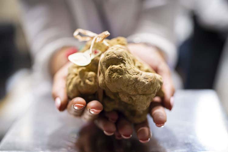 La Fiera del Tartufo prenderà il via il 10 ottobre ad Alba - I 90 anni della Fiera del Tartufo Due mesi di eventi ad Alba