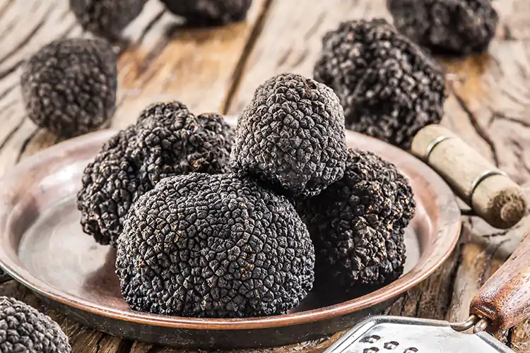 Nei boschi dell'alto Tevere sono stati individuati esemplari che sfiorano i sette etti di peso Tartufo estivo, esemplari da record cavati in Alto Tevere