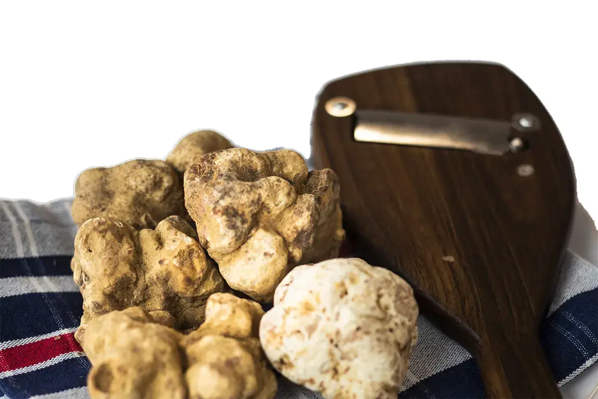 In viaggio per assaporare il re dell&rsquo;autunno: il tartufo