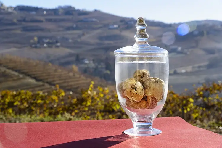 L&rsquo;pp Truffle-Market &egrave; stata messa a punto dall'Associazione nazionale tartufai italiani Tartufi certificato con blockchain. Nuova tutela per il Made in Italy