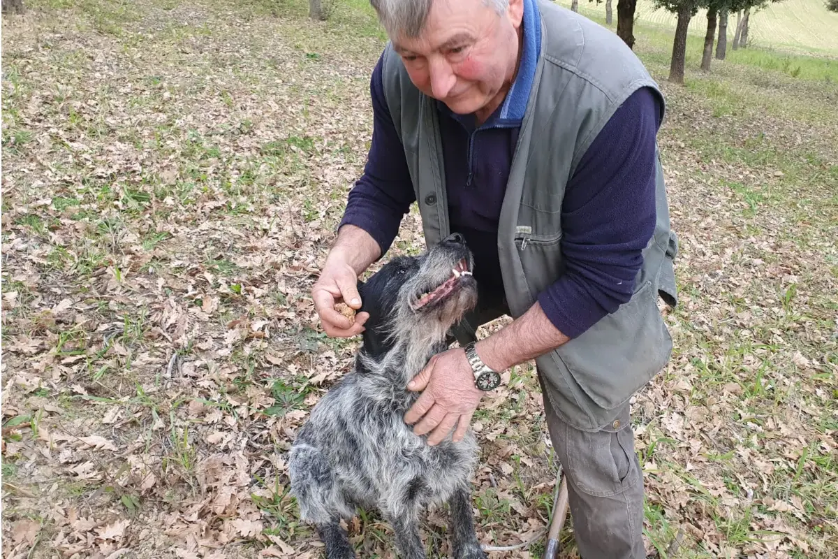 Nuova tartufaia? Ecco i consigli del custode del bosco Silvano Petreti