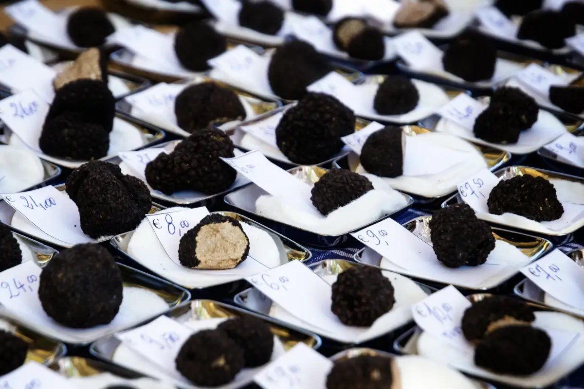 Il tartufo piace anche d'estate:&egrave; l'alleato perfetto per una dieta light