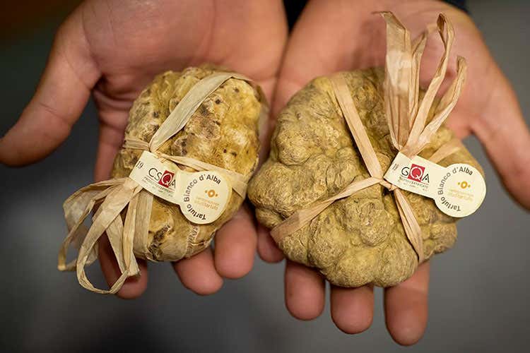 Neanche la pandemia ferma Alba La 90a Fiera del tartufo in sicurezza