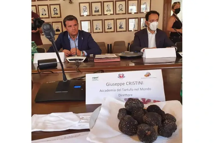  Il tartufo &egrave; una preziosit&agrave;,&nbsp; diffidiamo dei millantatori