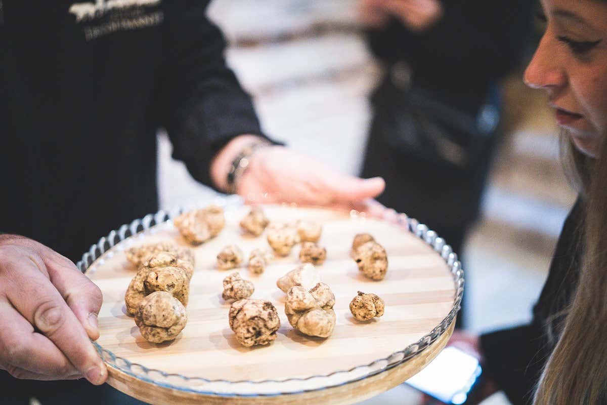 Derthona, l’anima bianca dei Colli Tortonesi che guarda al mondo