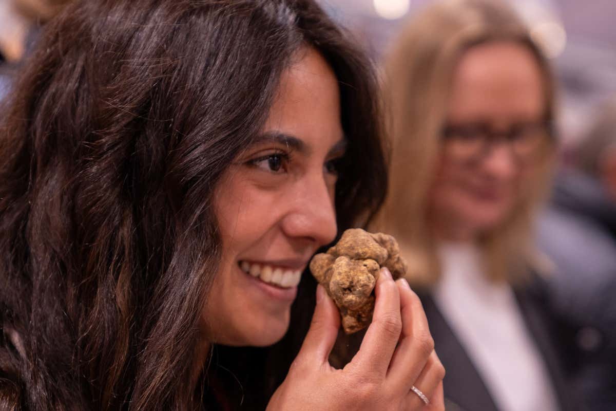 Il profumo che incanta il mondo: Garola e Laera raccontano il tartufo bianco d’Alba