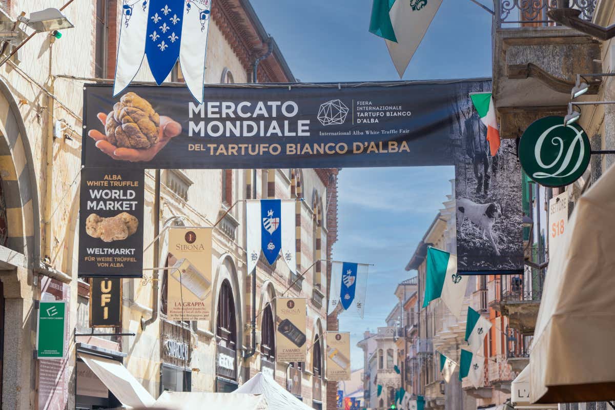 Il profumo che incanta il mondo: Garola e Laera raccontano il tartufo bianco d’Alba