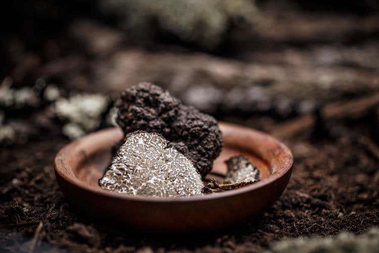Il tartufo al tempo del Covid Il tartufo al tempo del Covid