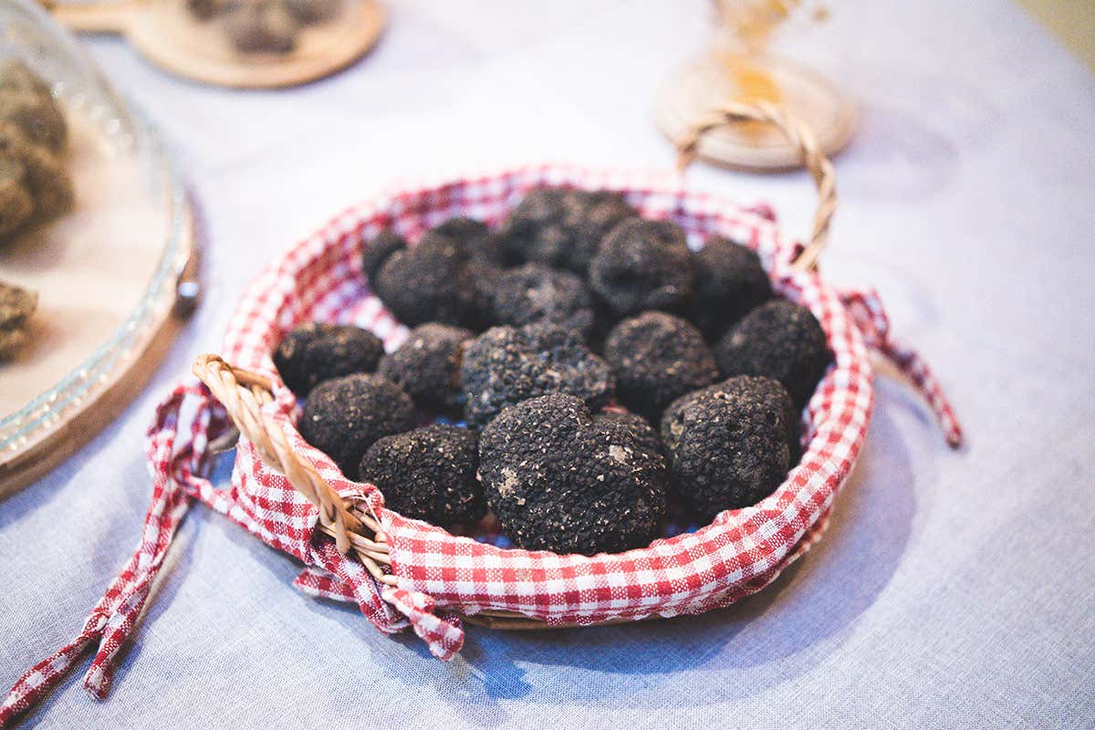 Derthona, l’anima bianca dei Colli Tortonesi che guarda al mondo