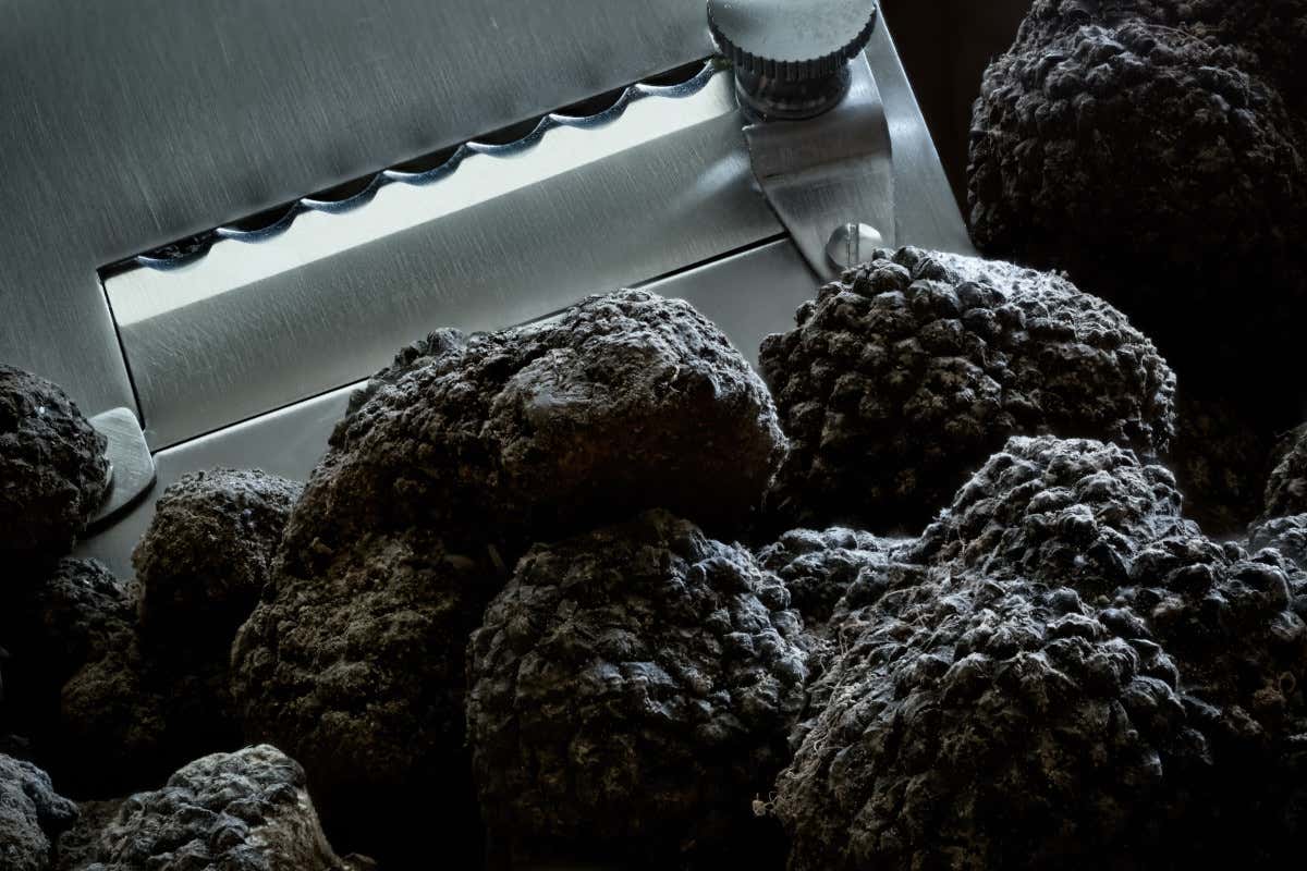 “Tartufo tutto l’anno nelle Marche”, il nero estivo nella ristorazione di terra e di mare “Tartufo tutto l’anno nelle Marche”, il nero estivo nella ristorazione di terra e di mare