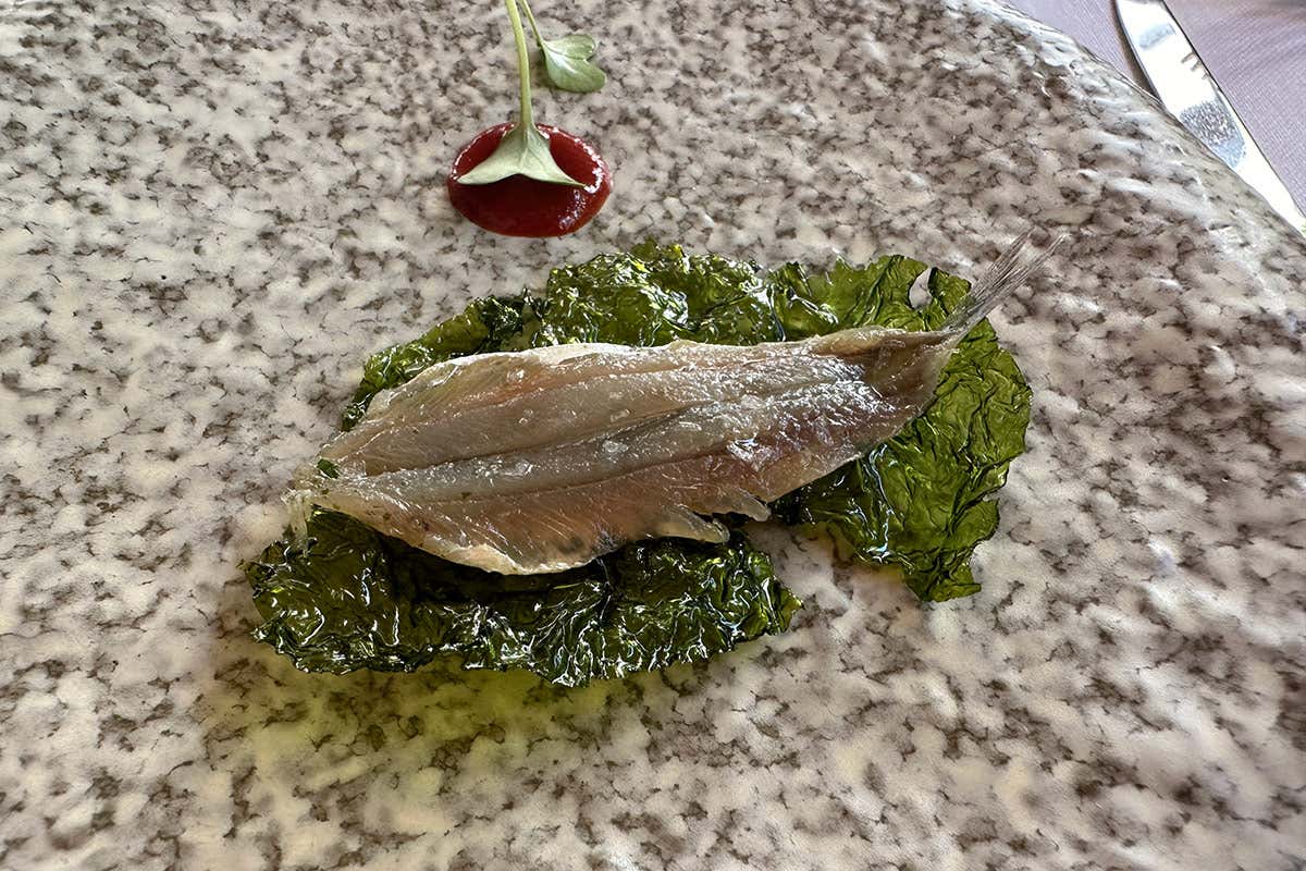 Ristorante Tasso a Sorrento: un viaggio nella tradizione della cucina napoletana