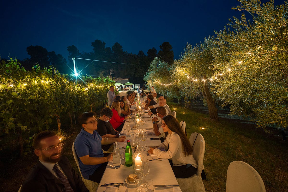 La cena in vigna dell’Estate alla MontecapponeMirizzi. Foto: Piero Principi Cena in vigna: i colpi di scena di Montecappone-Mirizzi