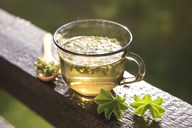 Raro, dal gusto morbido, la cui produzione tradizionale rischia di perdersi - L’ora del tè, magica bevanda: Tè giallo, raro e aromatico