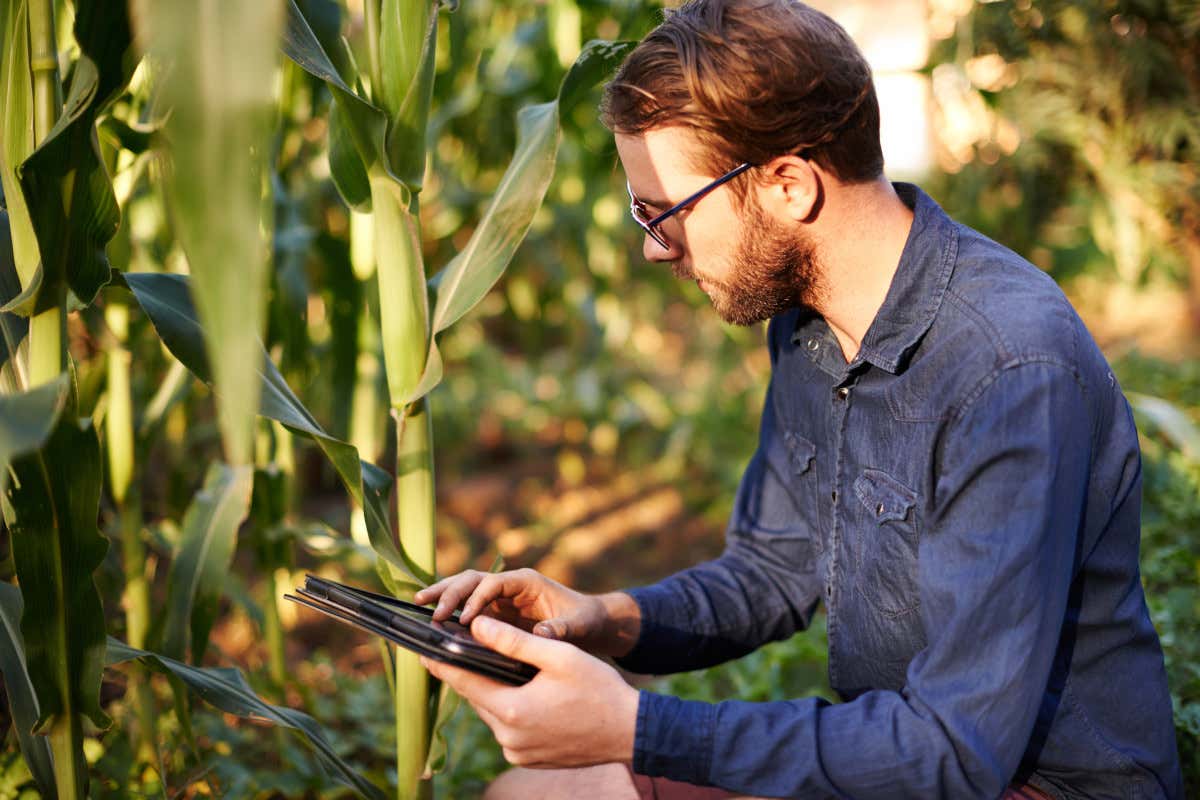 Primo ok dell’Ue alle nuove tecniche per l’agricoltura sviluppate in Lombardia