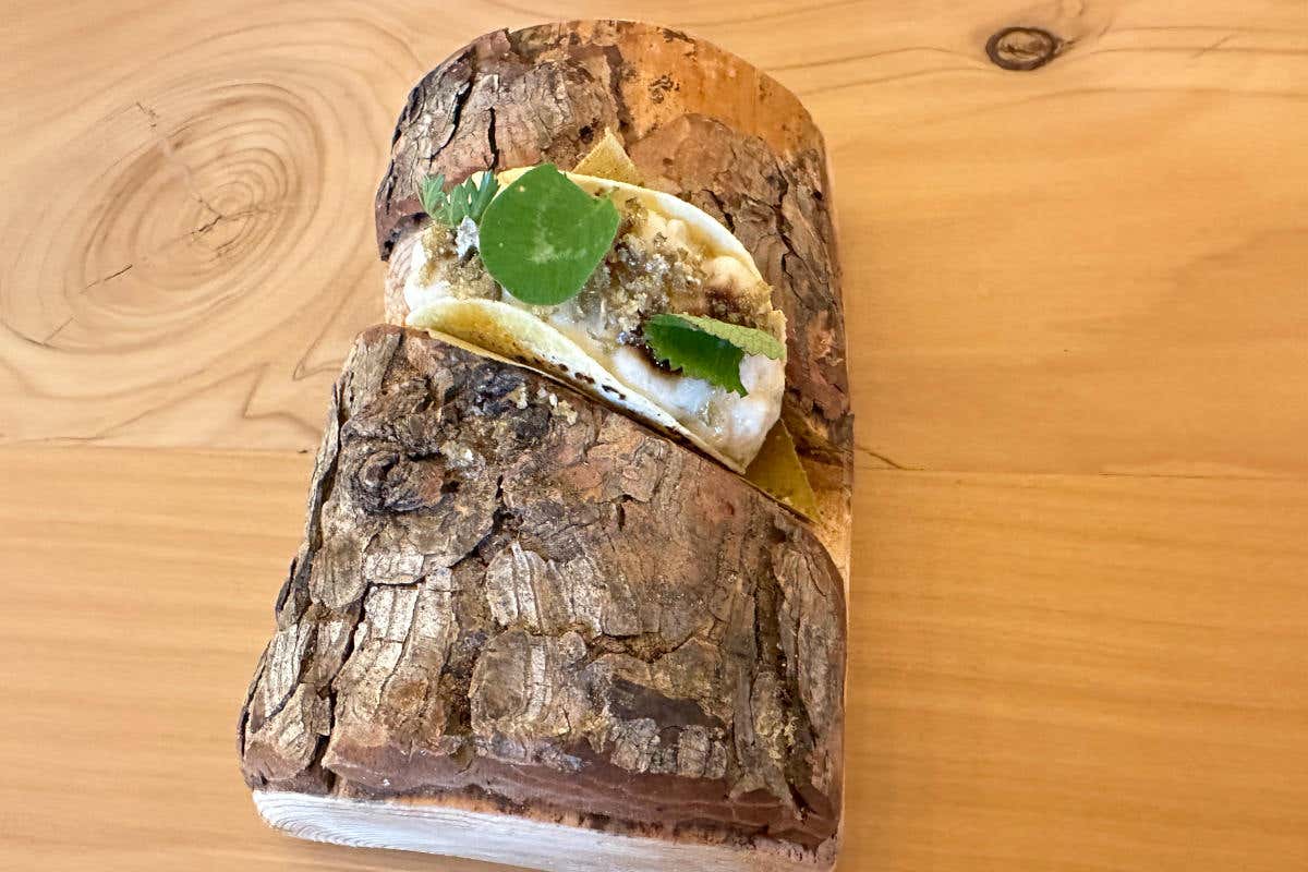Téa del Kosmo: l’alta cucina sostenibile che sfida la montagna (e i gastrofighetti)