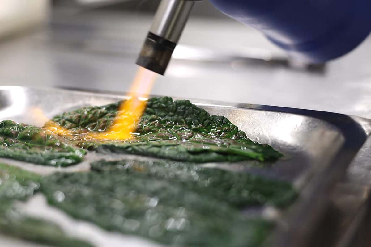 [Tea Tour] a Chateau Monfort: l'abbinamento tra quaglia e tè nero ai fiori che sorprende