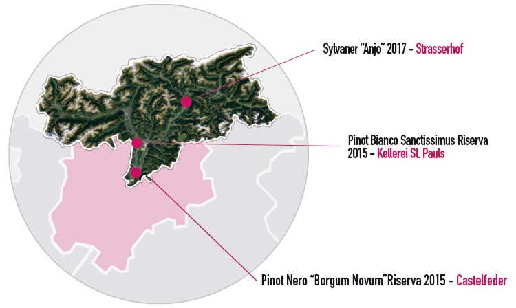 (L'Italia del vino Eleganza primaverile) (L'Italia del vino Eleganza primaverile)