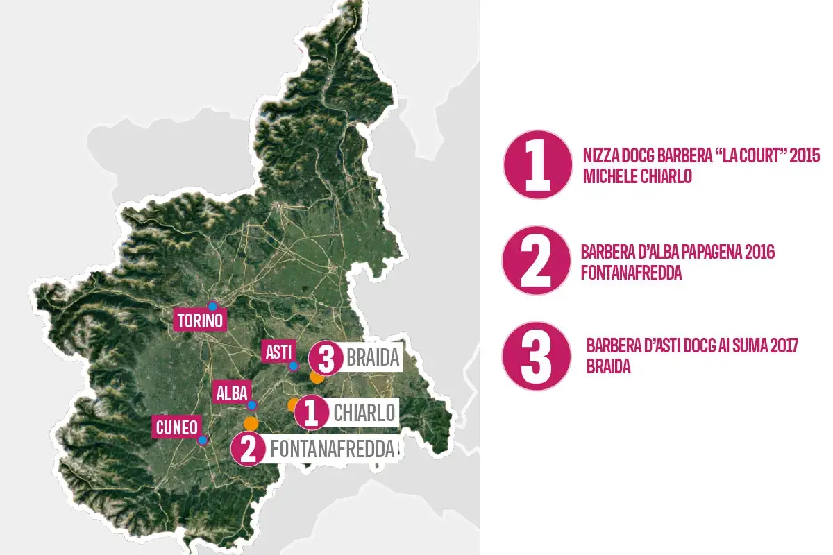 &pound;$L&rsquo;Italia del vino$&pound; La Barbera piemontese