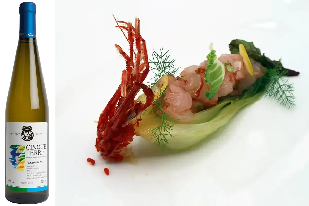 Cinque Terre Doc Cantina Cinque Terre con &ldquo;Gambero rosso, pak choi, kumquat&rdquo; di Angelo Biscotti, chef consultant e socio Euro-Toques Italia &pound;$L&rsquo;Italia del vino:$&pound; tre calici delle Cinque terre