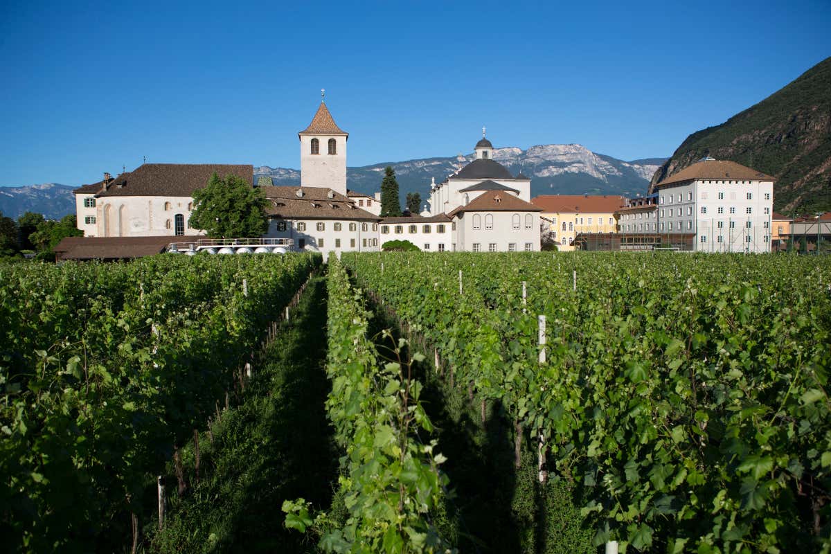 Il Lagrein si produce principalmente a Bolzano e nei suoi dintorni