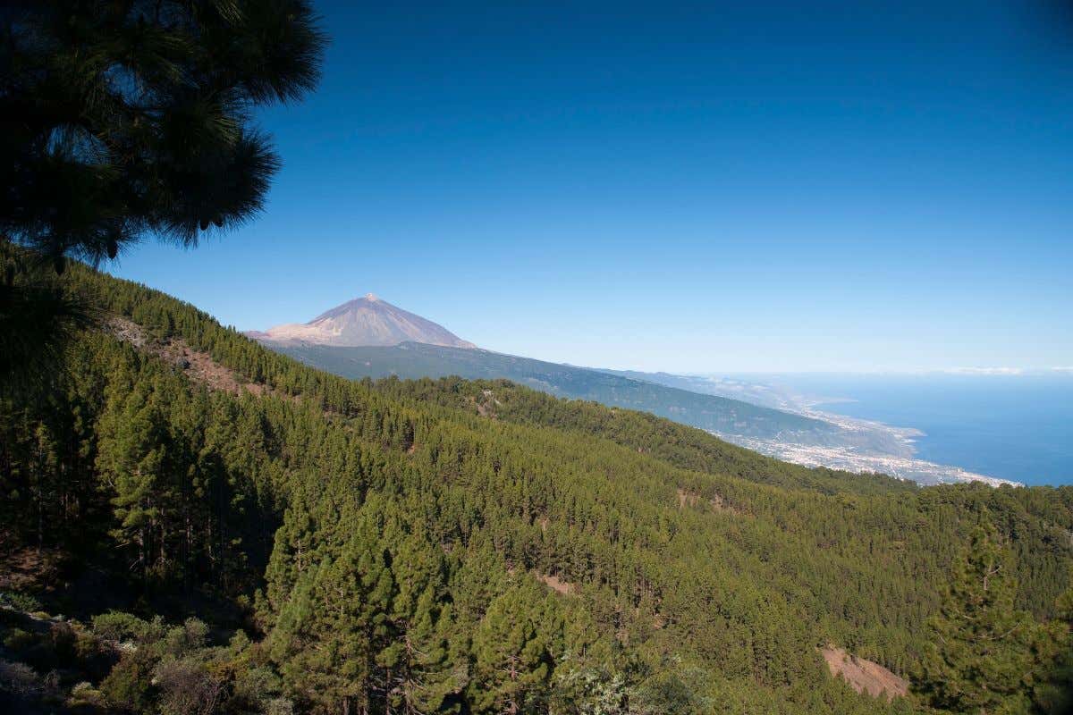 Tenerife riprende il suo solito ritmo dopo l'incendio