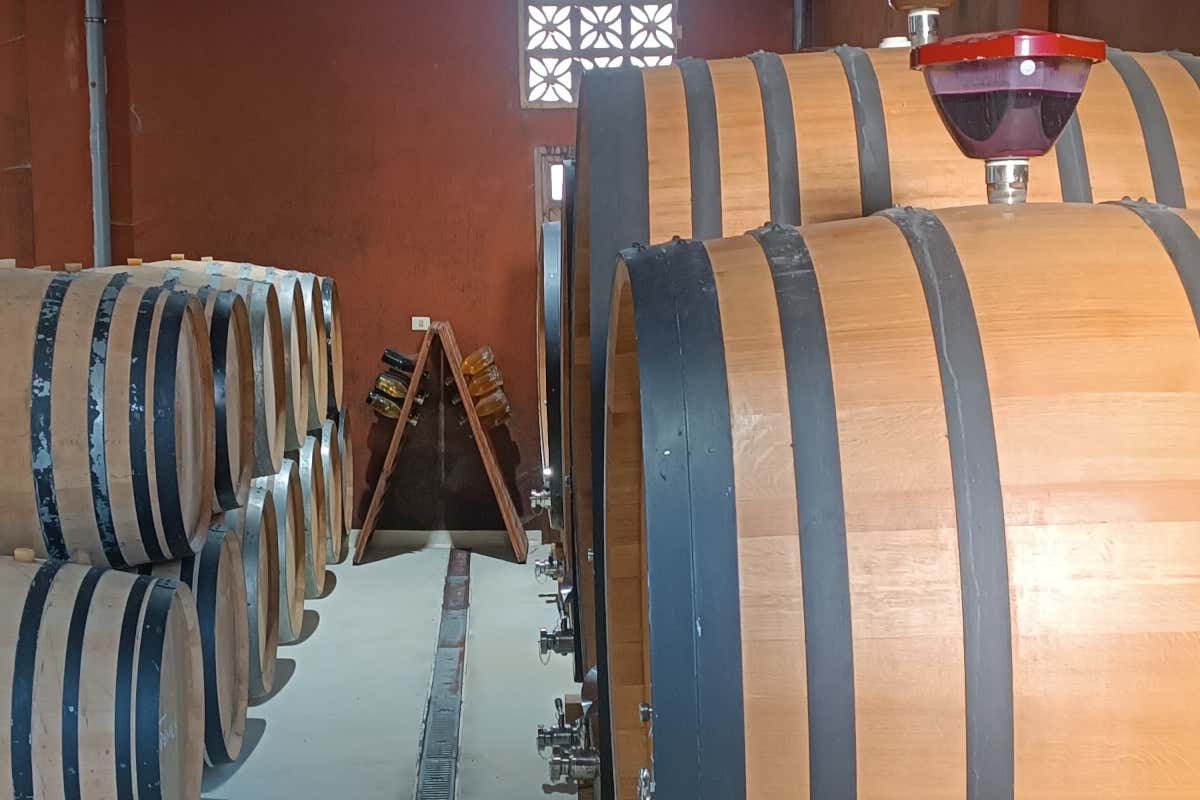 I vini di Borja Perez: autenticità espressiva della vulcanica Tenerife I vini di Borja Perez: autenticità espressiva della vulcanica Tenerife