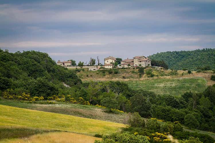 A Borgo Santa Cecilia di scena i sapori della selvaggina