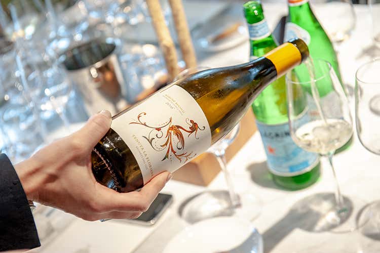 (Tenuta La Floriana Nuovo progetto vinicolo marchigiano) (Tenuta La Floriana Nuovo progetto vinicolo marchigiano)