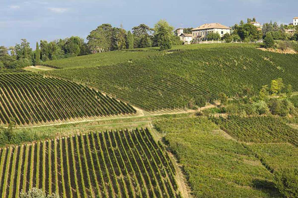 Tenuta Mazzolino, venti ettari bio in Oltrepò Pavese Tenuta Mazzolino: vino e territorio fanno squadra Tenuta Mazzolino, venti ettari bio in Oltrepò Pavese Tenuta Mazzolino: vino e territorio fanno squadra