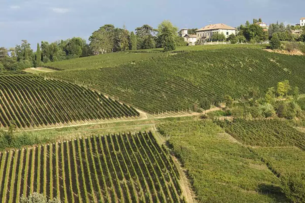 Tenuta Mazzolino, venti ettari bio in Oltrep&ograve; Pavese Tenuta Mazzolino: vino e territorio fanno squadra